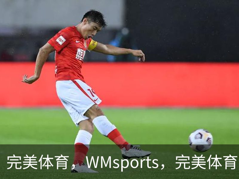 完美体育，WMsports，完美体育官方，完美体育平台，完美体育下载概况